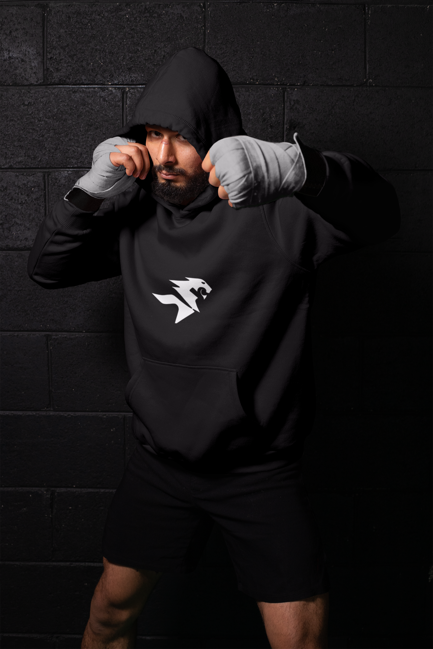 FitLion Hoodie | Next Level